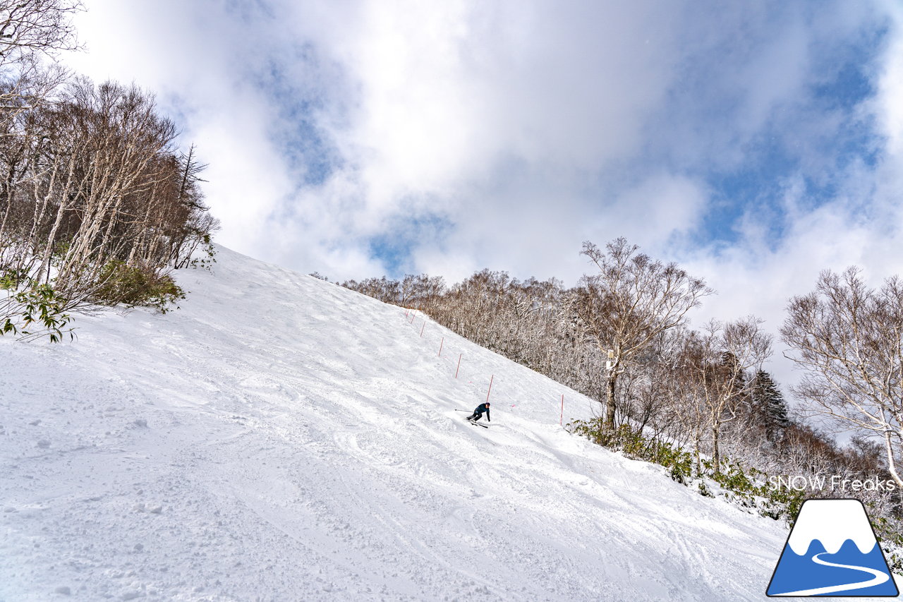 サッポロテイネ｜久しぶりの降雪で粉雪コンディション復活！ゲレンデ上部、2本の中斜面が絶好調(*^^)v